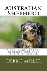Australian Shepherd
