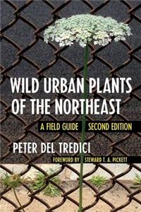 Wild Urban Plants of the Northeast