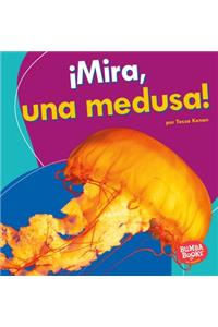 ¡Mira, una medusa! (Look, a Jellyfish!)