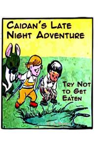 Caidan's Late Night Adventure