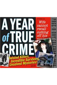 2019 a Year of True Crime Page-A-Day Calendar