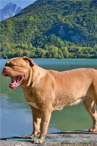 French Mastiff (Dogue de Bordeaux) Affirmations Workbook French Mastiff (Dogue de Bordeaux) Presents