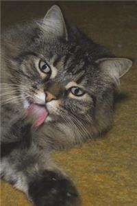 Norwegian Forest Cat Journal 