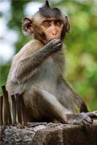 Baby Monkey Journal
