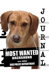 Most Wanted Dachshund Journal