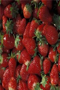 Food Journal Delicious Red Strawberries Weight Loss Diet Blank Recipe Book
