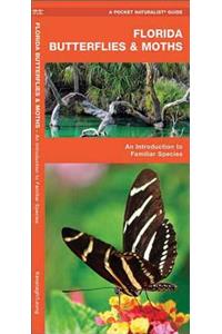 Florida Butterflies & Moths