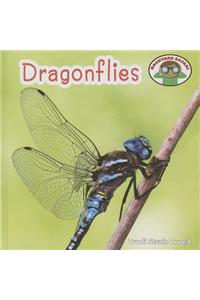 Dragonflies