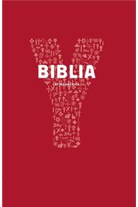 Youcat Biblia
