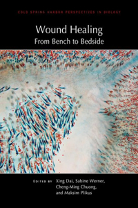 Wound Healing: From Bench to Bedside