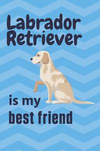 Labrador Retriever is my best friend