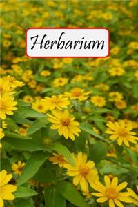 Herbarium