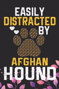 Easily Distracted by Afghan Hound