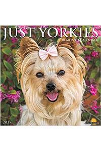 Just Yorkies 2017 Wall Calendar