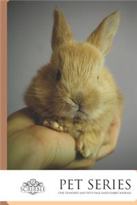 One Hundred and Fifty page lined Rabbit Journal