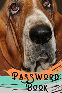 Password Book