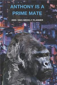 2020 / 2021 Two Year Weekly Planner For Anthony Name - Funny Gorilla Pun Appointment Book Gift - Two-Year Agenda Notebook