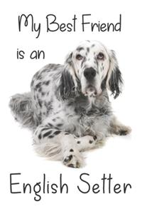 My best Friend is an English Setter