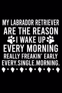 My Labrador Retriever Are The Reason I Wake Up Every Morning Really Freakin' Early Every.Single.Morning.