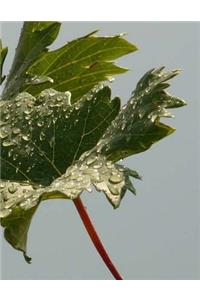 Wine Notebook Large Size 8.5 X 11 Ruled 150 Pages Softcover