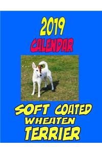 2019 Calendar Soft Coated Wheaton Terrier