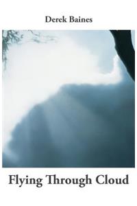 Flying Through Cloud