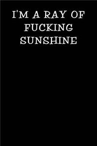 I'm a Ray of Fucking Sunshine