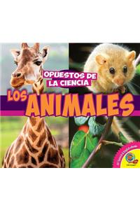 Los Animales