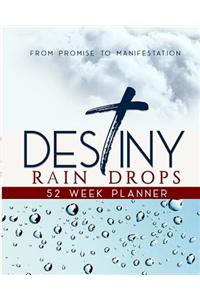 Destiny Rain Drops