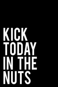 Kick Today in the Nuts