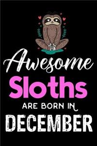 Awesome Sloths Are Born in December