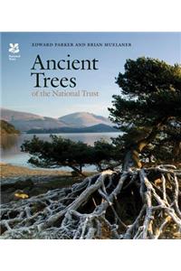 Ancient Trees of the National Trust