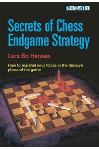 Secrets of Chess Endgame Strategy