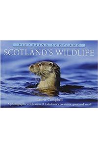 Scotland's Wildlife: Picturing Scotland