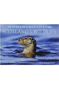 Scotland's Wildlife