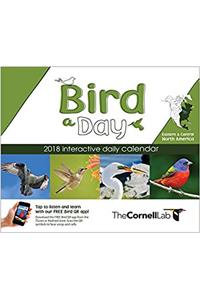 Bird-A-Day 2018 Daily Calendar