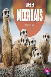 Mob of Meerkats