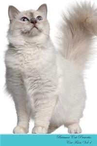 Briman Cat Presents