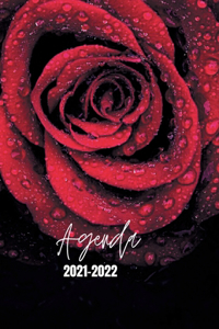 Agenda Rose 2021-2022