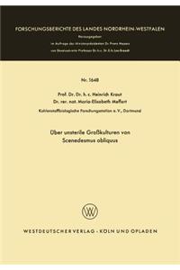 Über unsterile Großkulturen von Scenedesmus obliquus