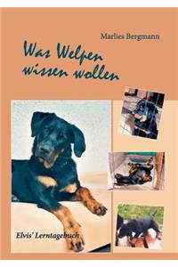 Was Welpen wissen wollen