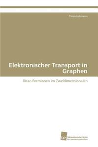 Elektronischer Transport in Graphen