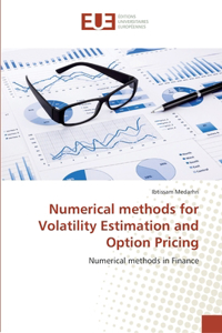 Numerical methods for Volatility Estimation and Option Pricing