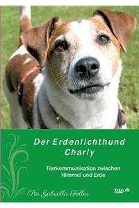 Erdenlichthund Charly