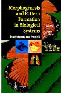 Morphogenesis and Pattern Formation in Biological Systems: Experiments and Models