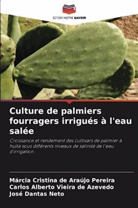 Culture de palmiers fourragers irrigués à l'eau salée