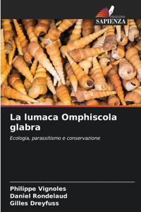 lumaca Omphiscola glabra