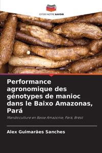 Performance agronomique des génotypes de manioc dans le Baixo Amazonas, Pará