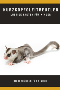 Kurzkopfgleitbeutler