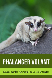 Phalanger Volant (Livres sur les Animaux pour les Enfants)